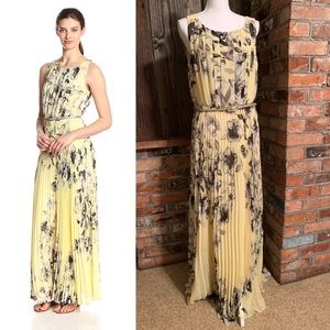 ELIZA J Pleated Floral Chiffon Maxi Dress